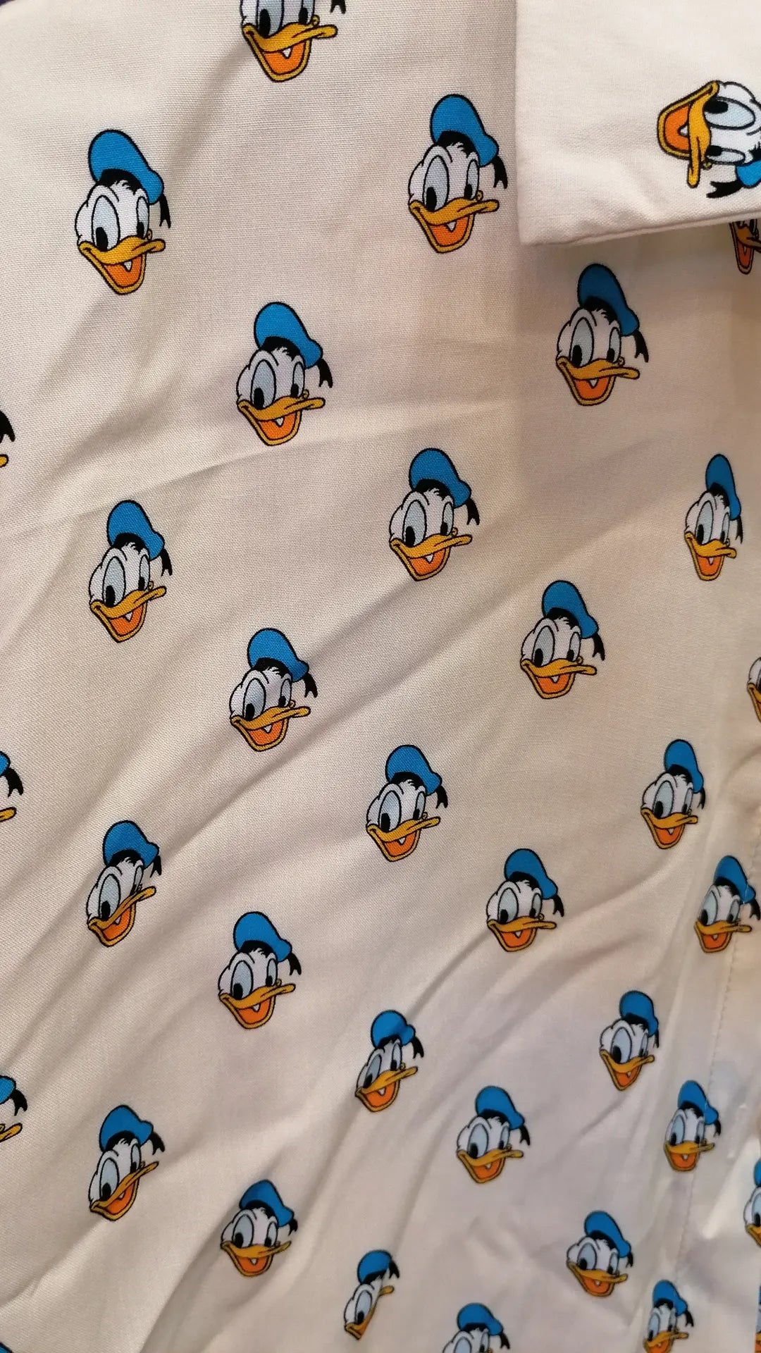 Camicia fantasie varie cartoon & Co.