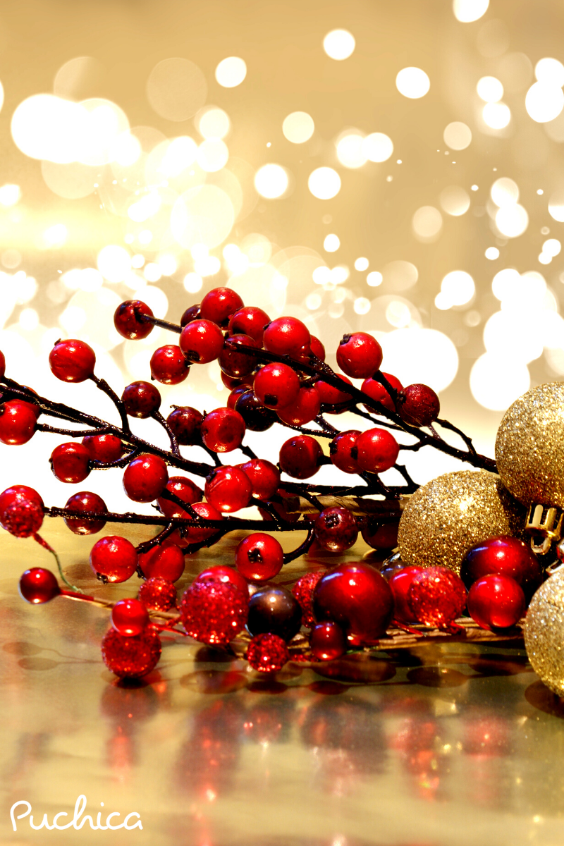 Christmas Collection