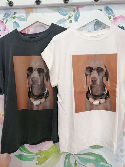 T-shirt cane con occhiali da sole
